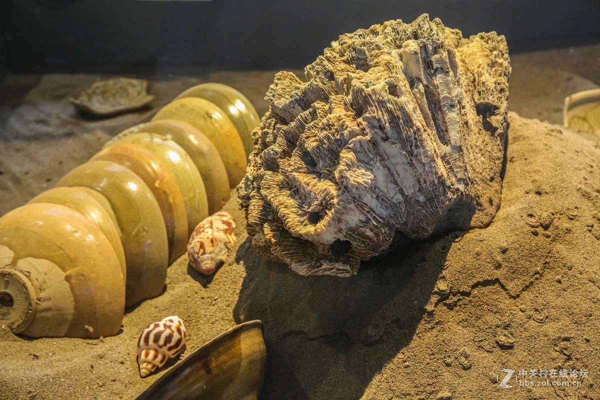 打捞沉船黑石号