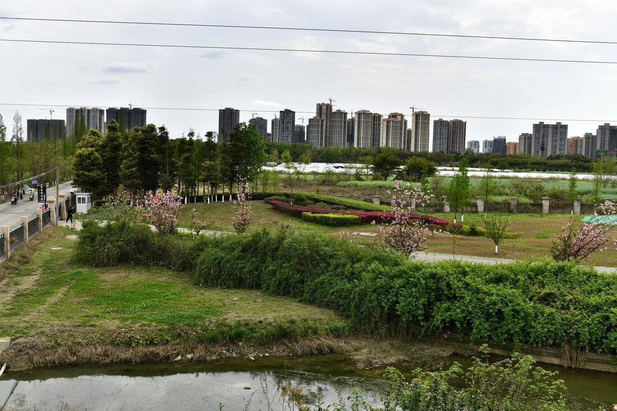 2020-3-29-青白江凤凰湖