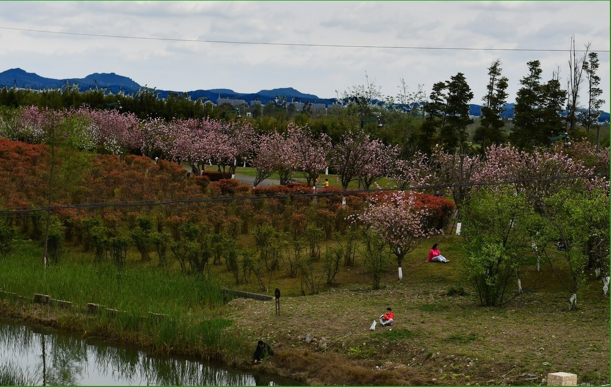2020-3-29-青白江凤凰湖