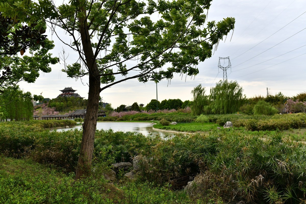 2020-3-29-青白江凤凰湖