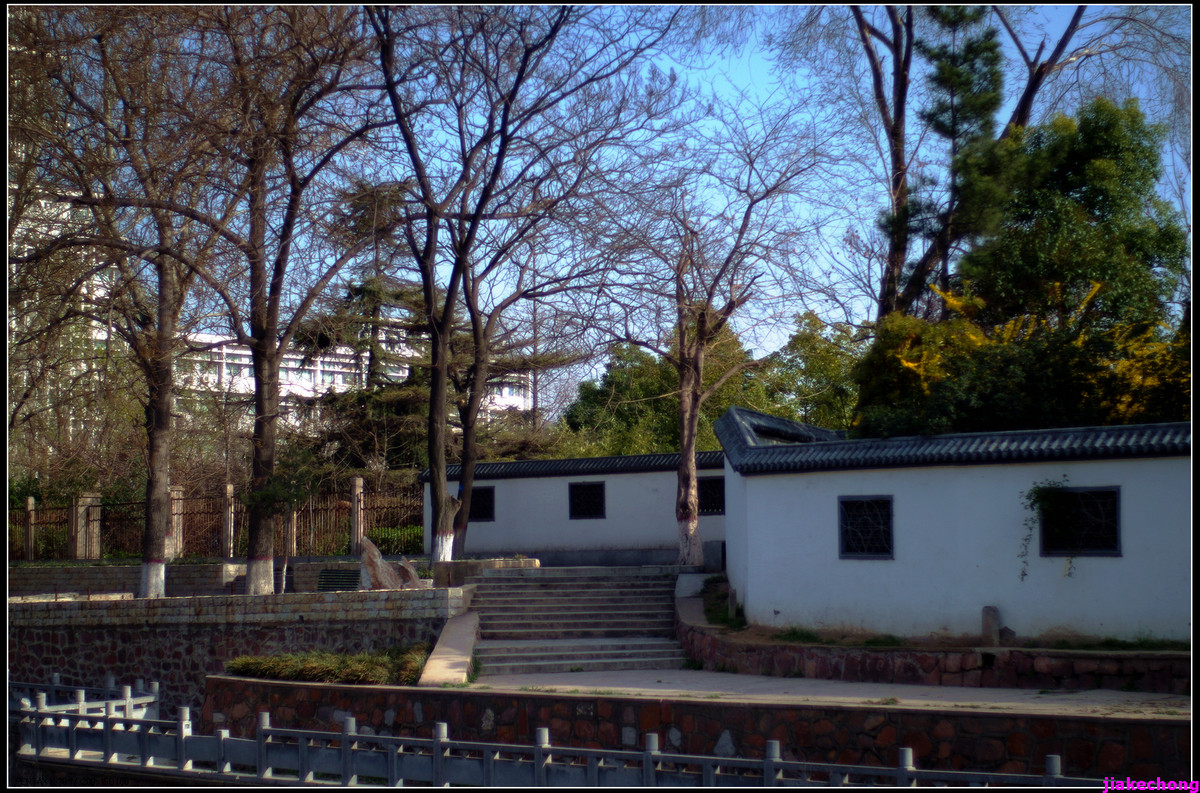 一组小品贺师友雲龍观海任运动生活版主！！！