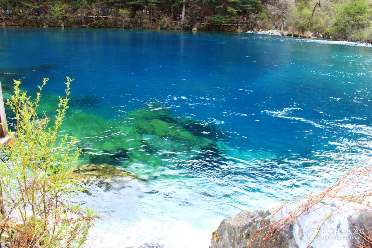 枯水期游览九寨沟 脱离组织久了很对不起⑤叶、药师等指导和关心我的朋友 请见谅