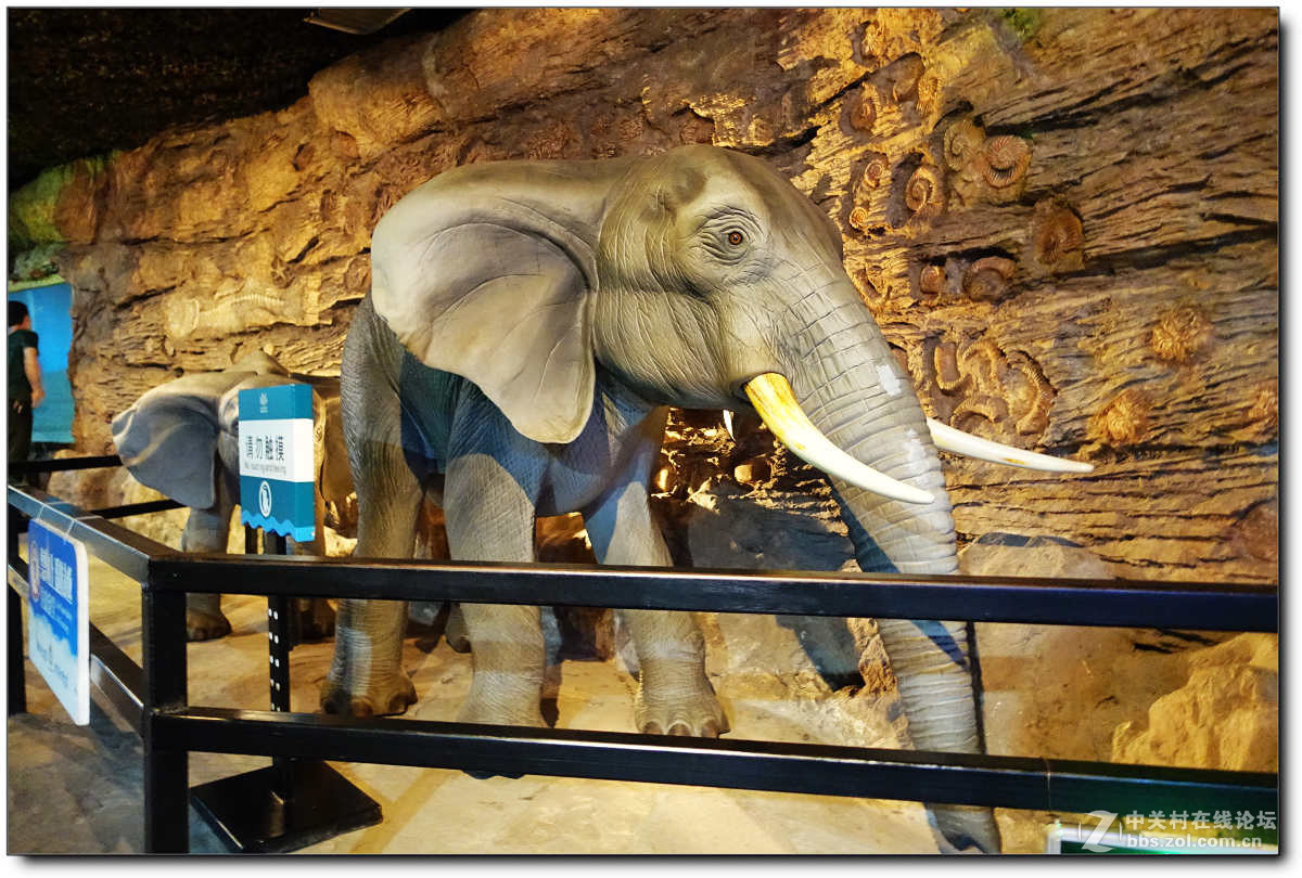 曲江海洋极地公园