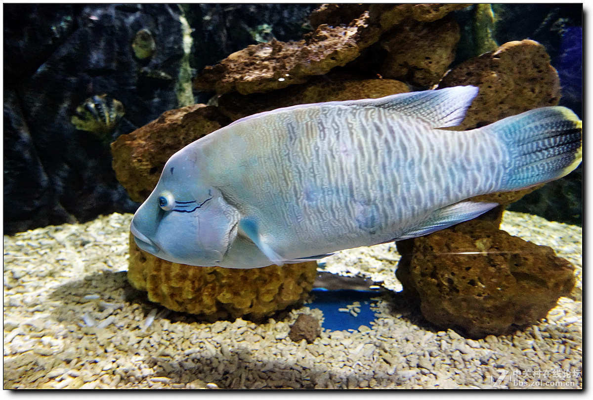 曲江海洋极地公园