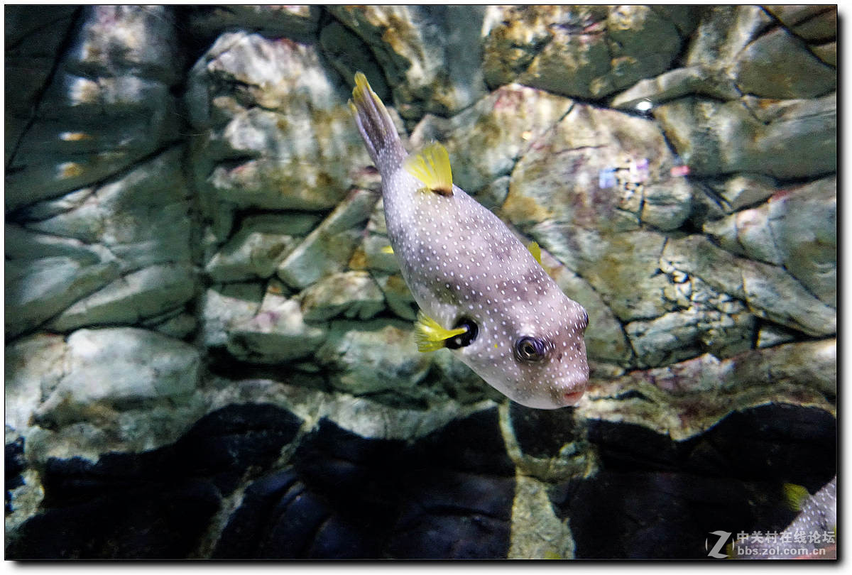 曲江海洋极地公园