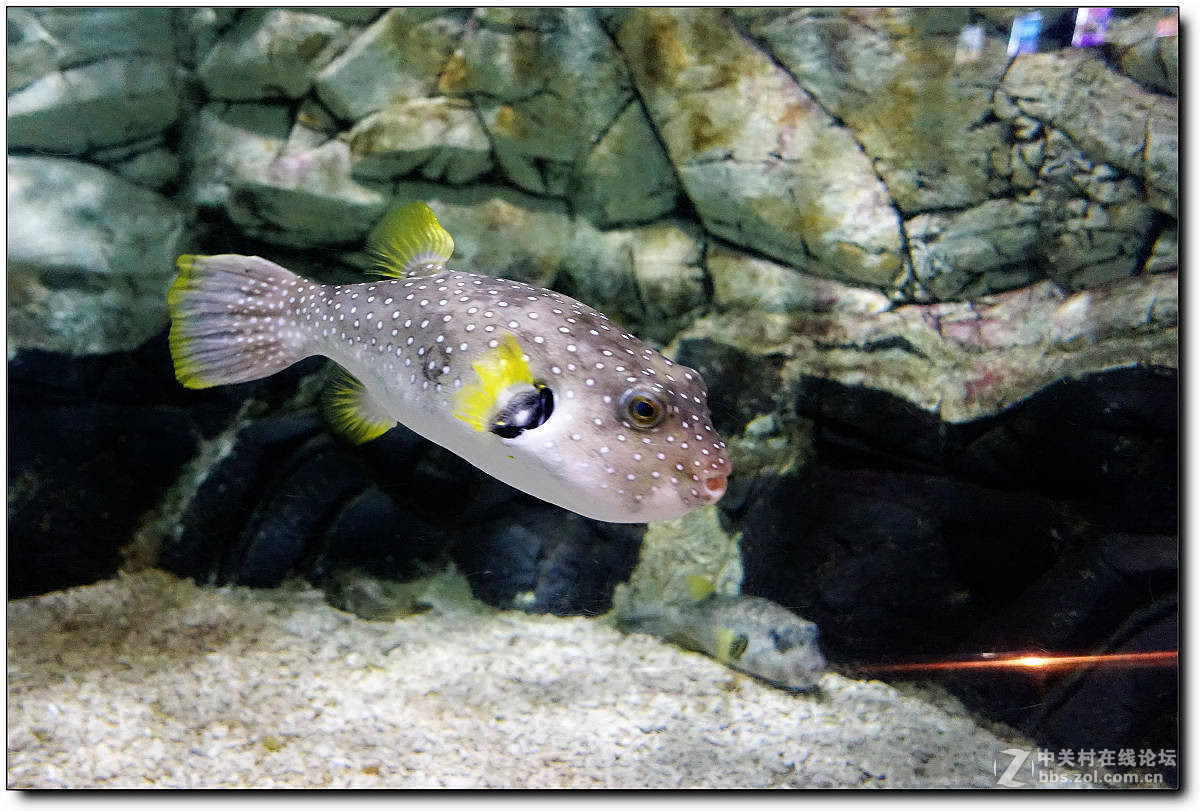 曲江海洋极地公园