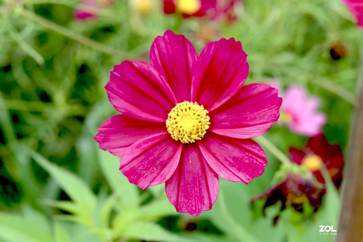 巴南 木洞赶场随拍(三)