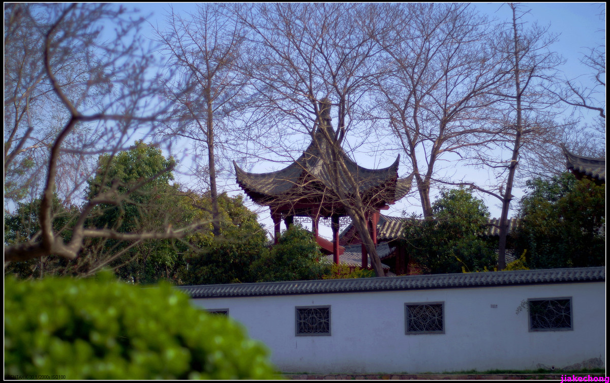 一组小品贺师友雲龍观海任运动生活版主！！！