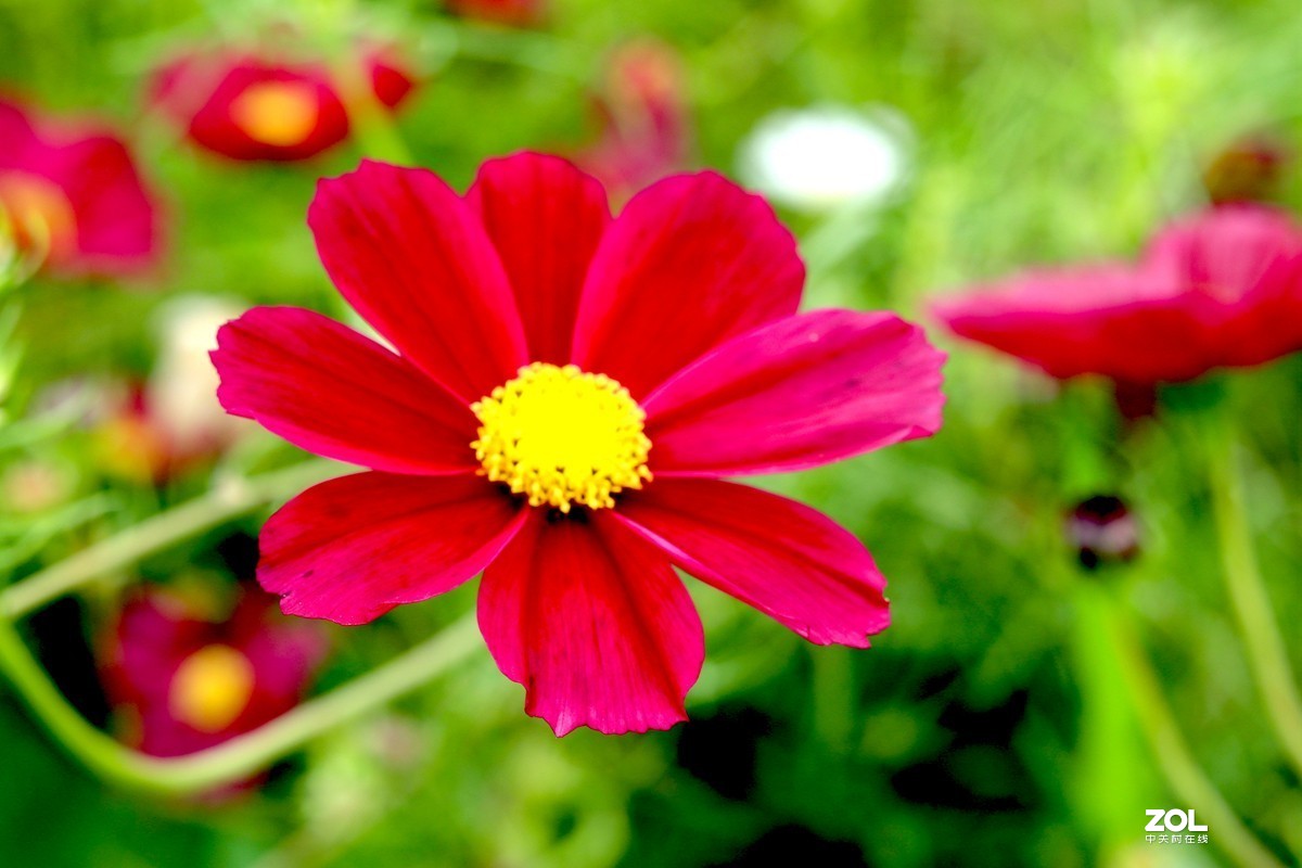 巴南 木洞赶场随拍(三)