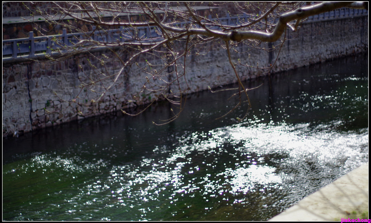 一组小品贺师友雲龍观海任运动生活版主！！！