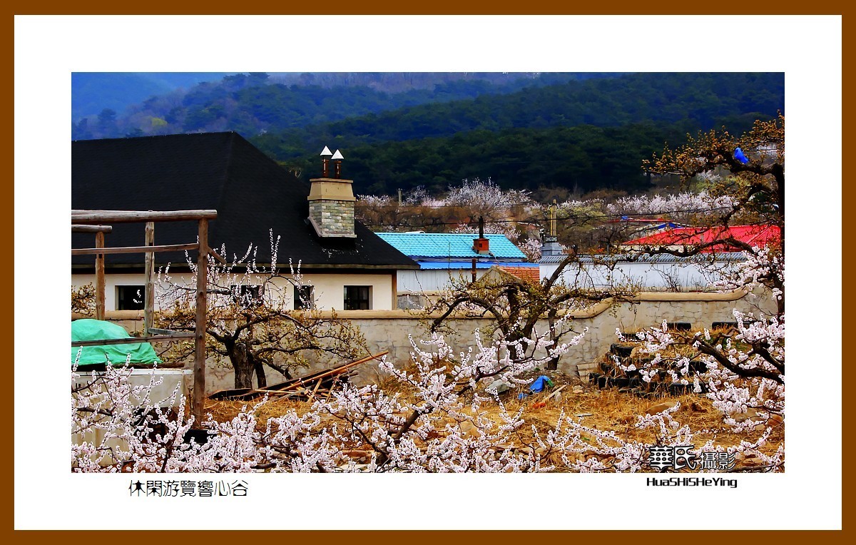 鞍山上石桥村景点图片