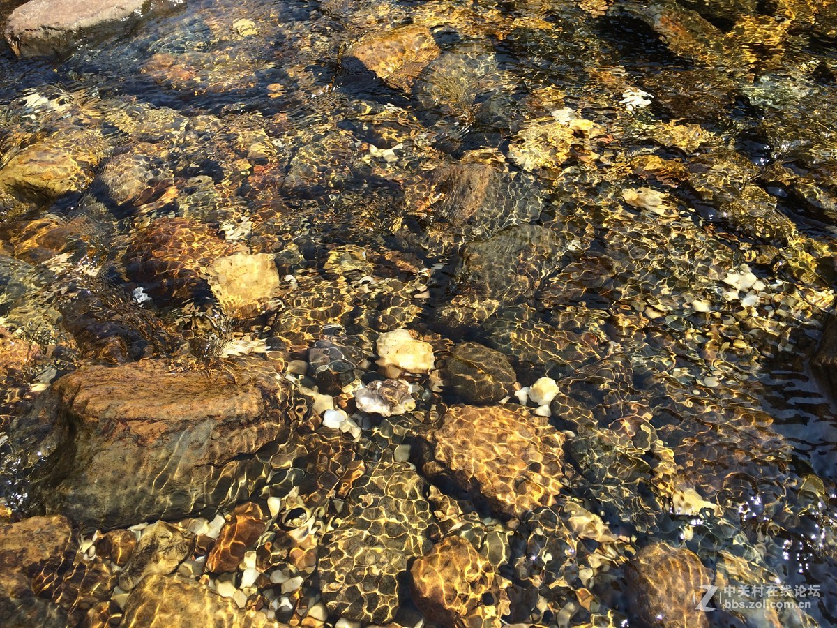 家乡小河之醉美上林