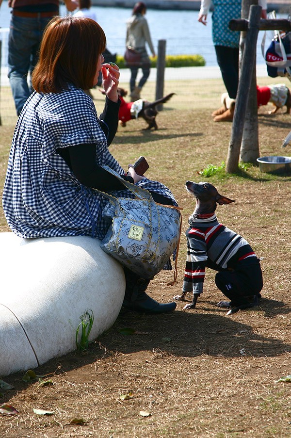 日本游记—扫街