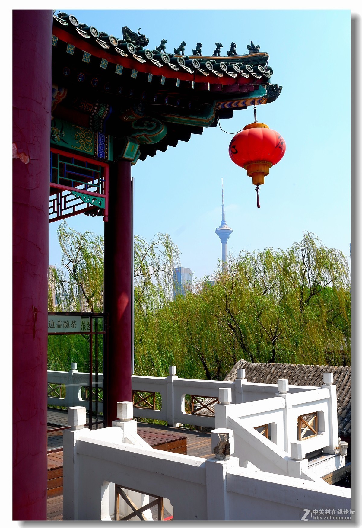 老茶坊津门盖碗茶随拍