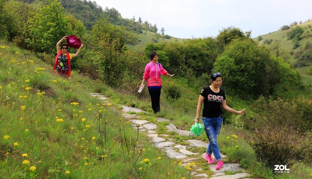 大巴山神田源草甸拍环境人像。续3