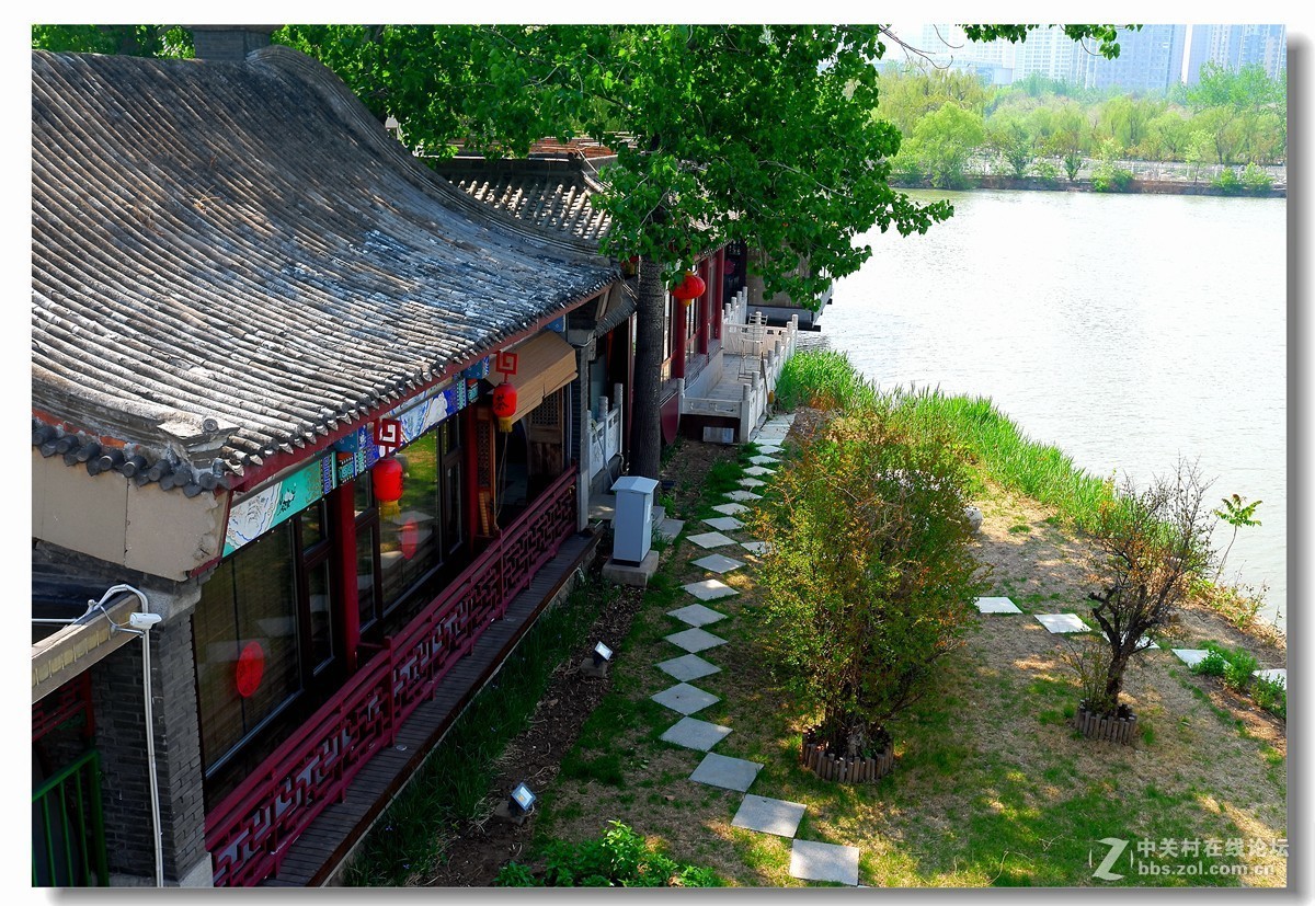 老茶坊津门盖碗茶随拍