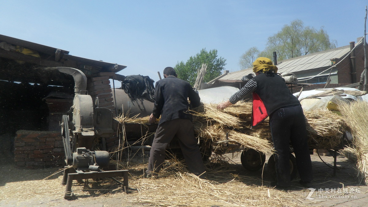 #我镜头下最美的花#[劳动人民最可爱】