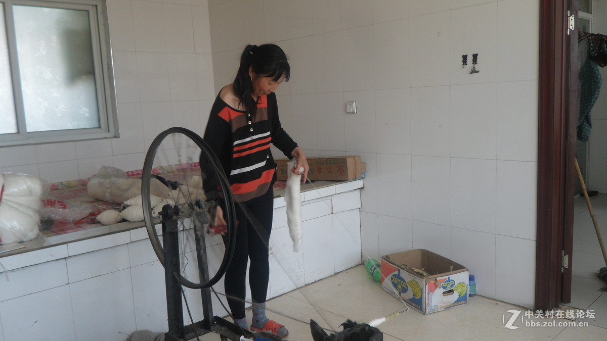 #我镜头下最美的花#[劳动人民最可爱】