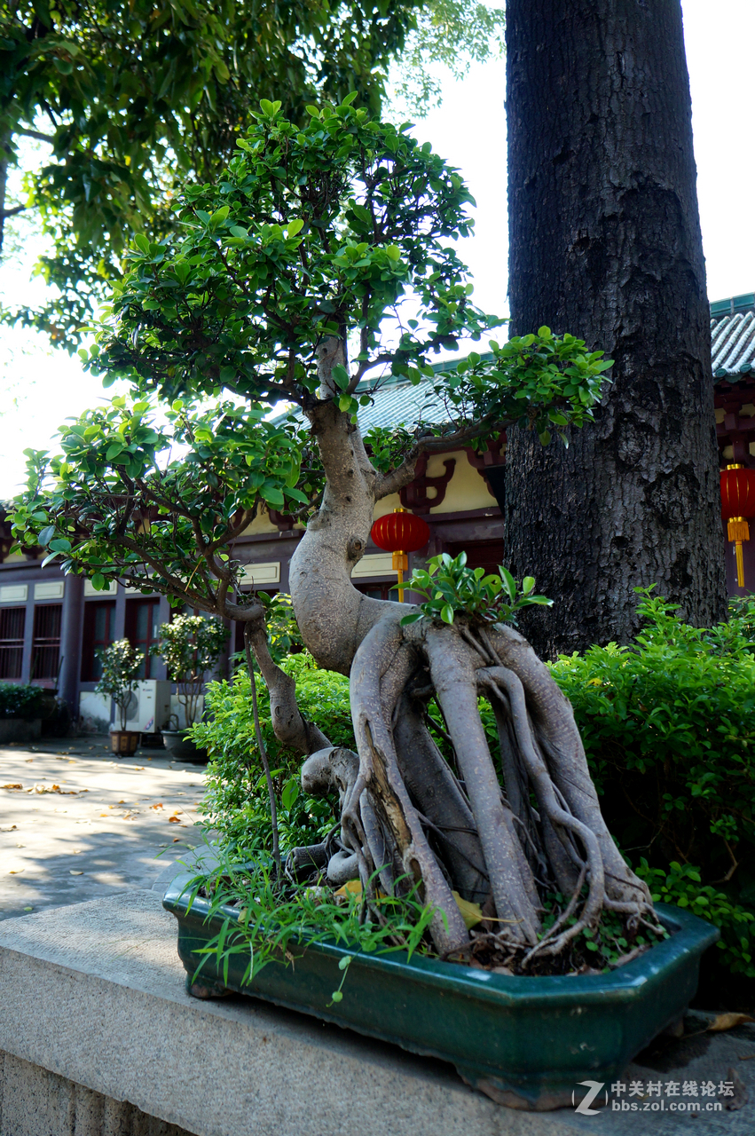 心若清净，无处不清净;心若庄严，无处不庄严;心若佛国，无处不佛国。