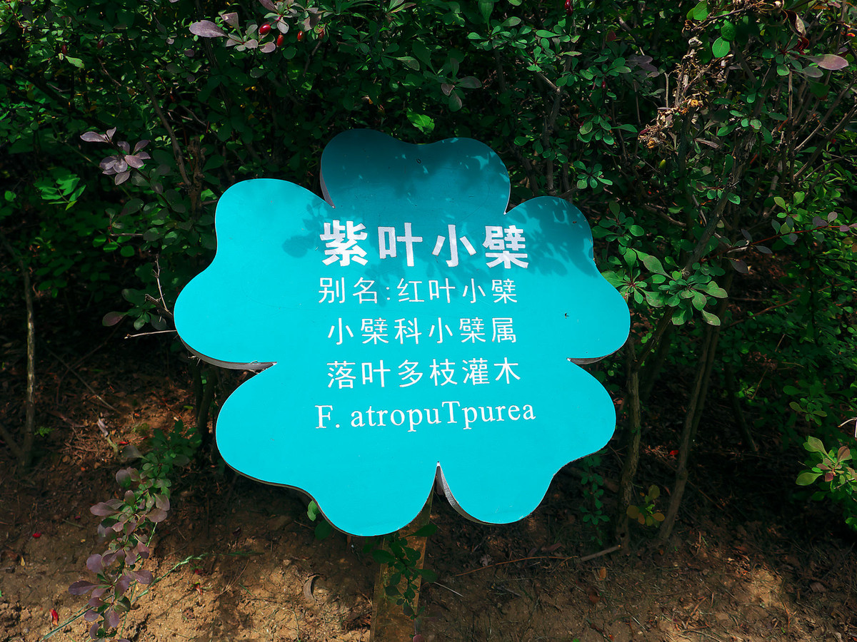 随便拍拍