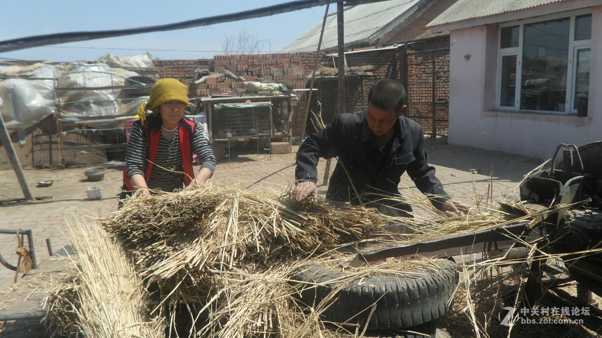 #我镜头下最美的花#[劳动人民最可爱】