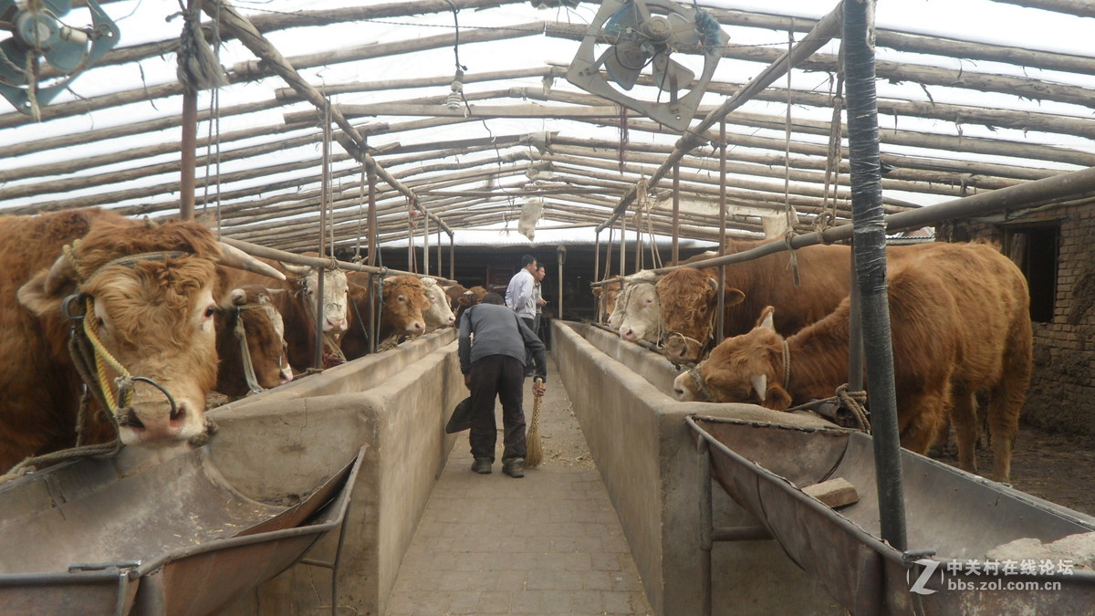 #我镜头下最美的花#[劳动人民最可爱】