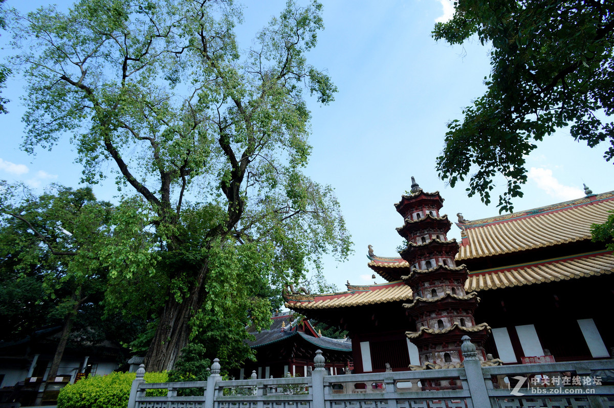 心若清净，无处不清净;心若庄严，无处不庄严;心若佛国，无处不佛国。