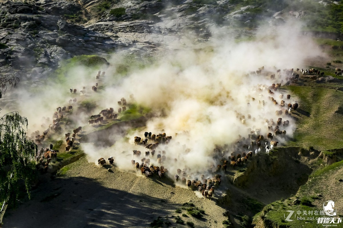 蜂摄天下——新疆转场