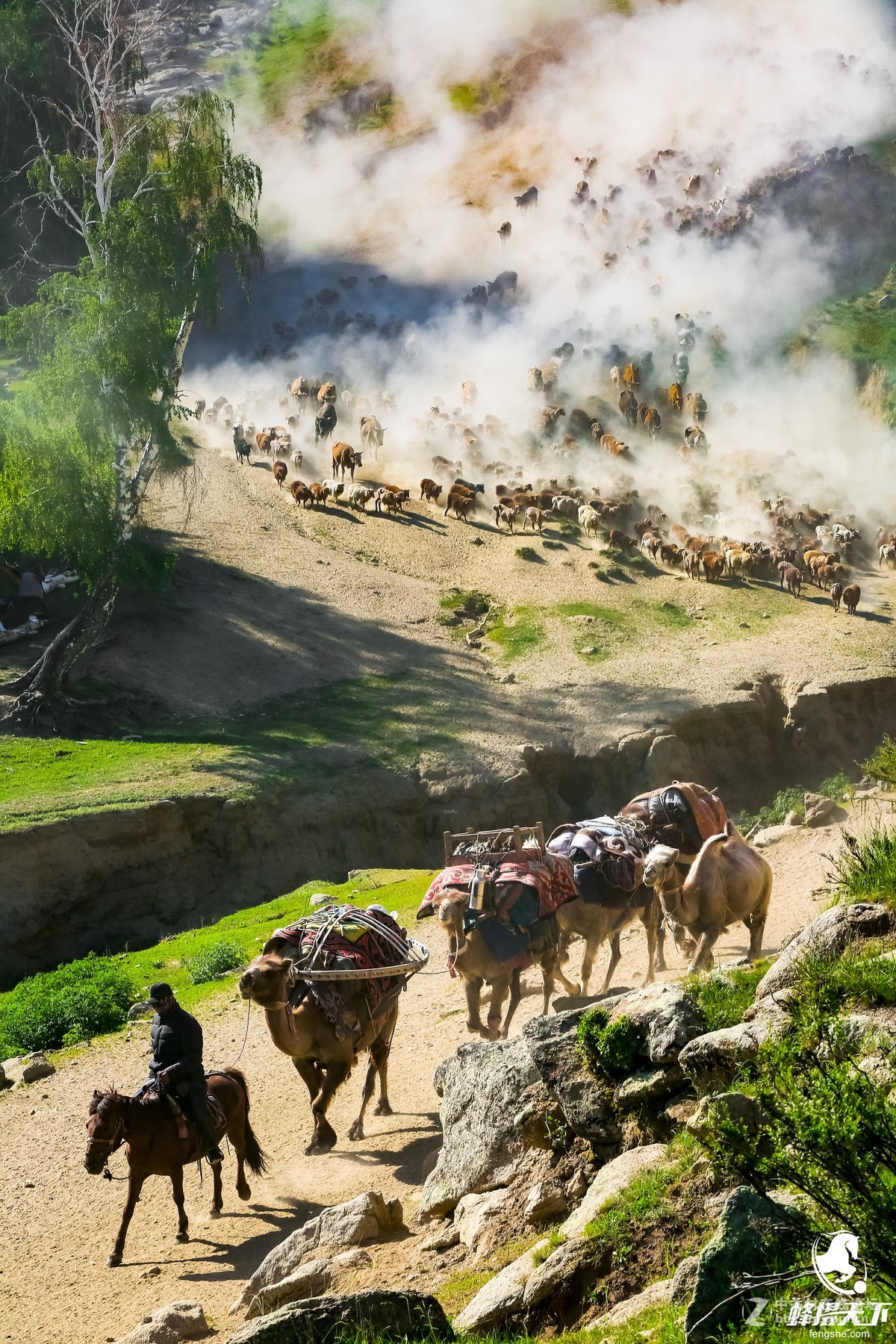 蜂摄天下——新疆转场