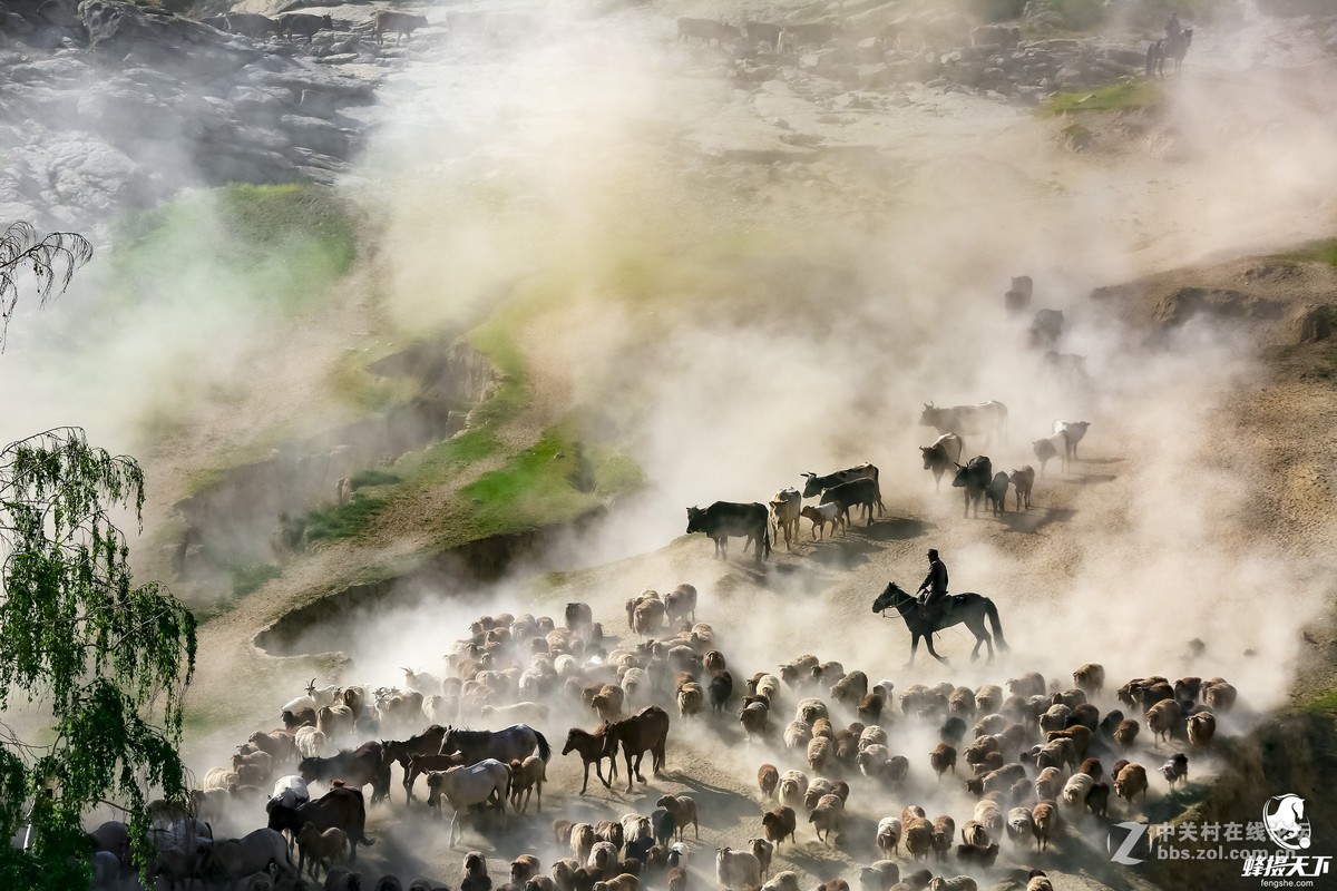 蜂摄天下——新疆转场