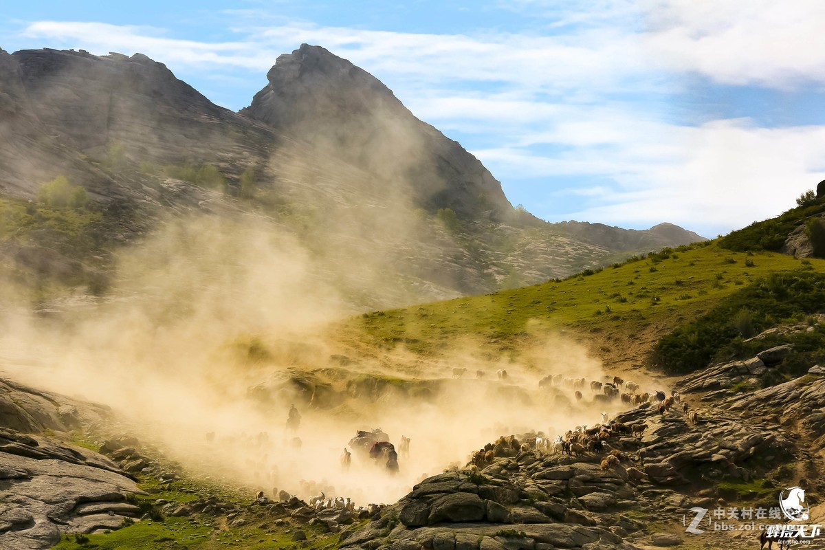 蜂摄天下——新疆转场