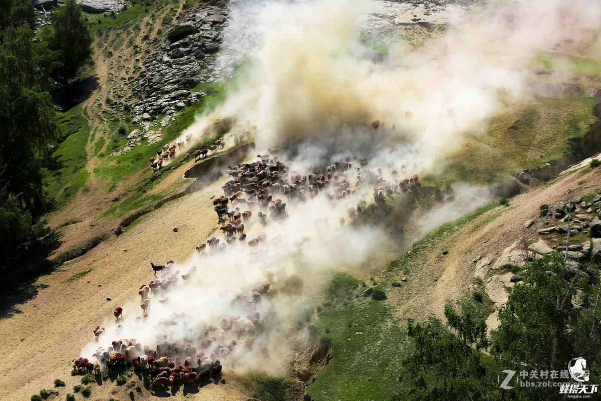 蜂摄天下——新疆转场