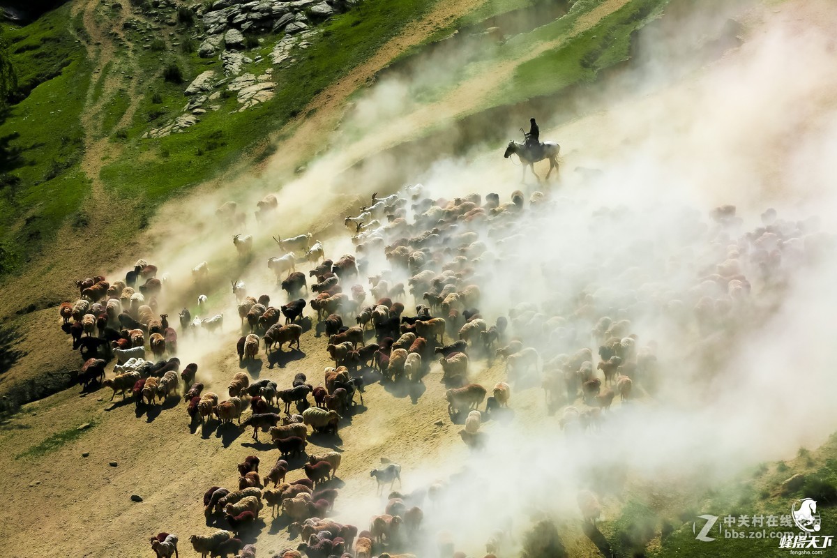 蜂摄天下——新疆转场