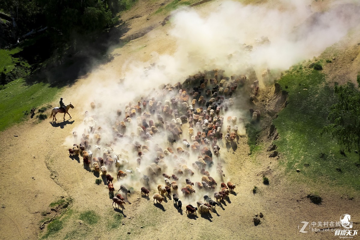 蜂摄天下——新疆转场