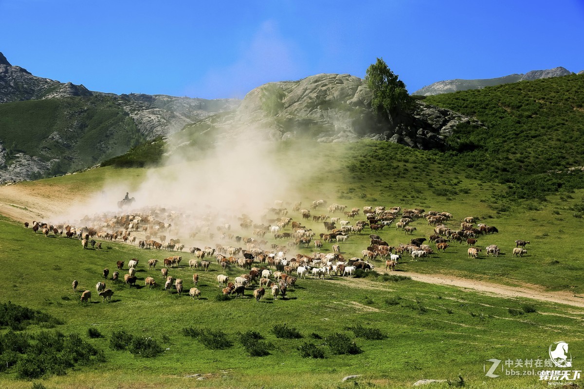 蜂摄天下——新疆转场
