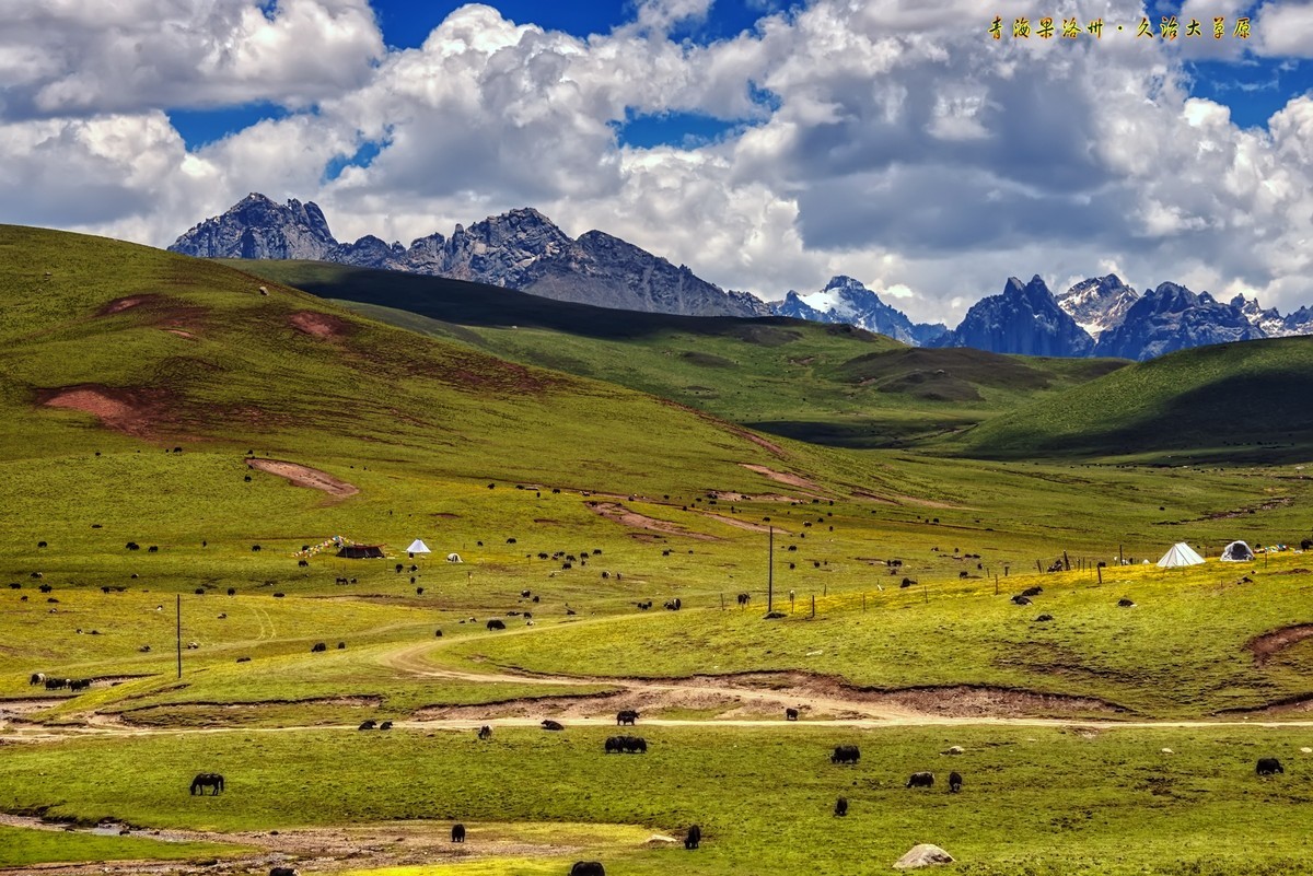 青海果洛州久治大草原2