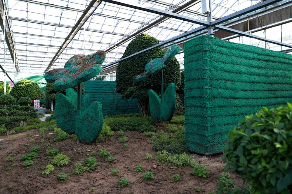 幻城仙境（1）爱丽丝大人国和小人国----拍摄于天津滨海生态农业科技园区