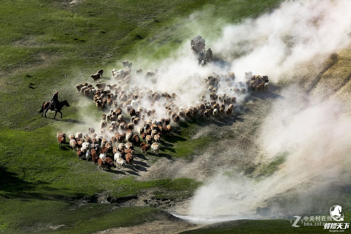 蜂摄天下——新疆转场
