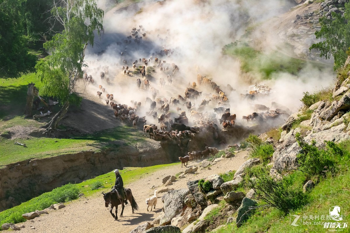 蜂摄天下——新疆转场