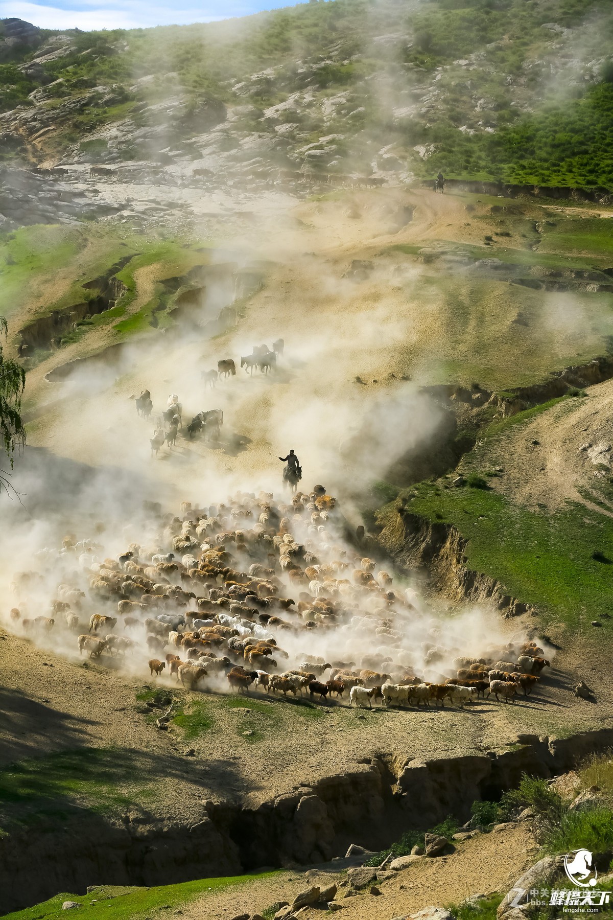蜂摄天下——新疆转场