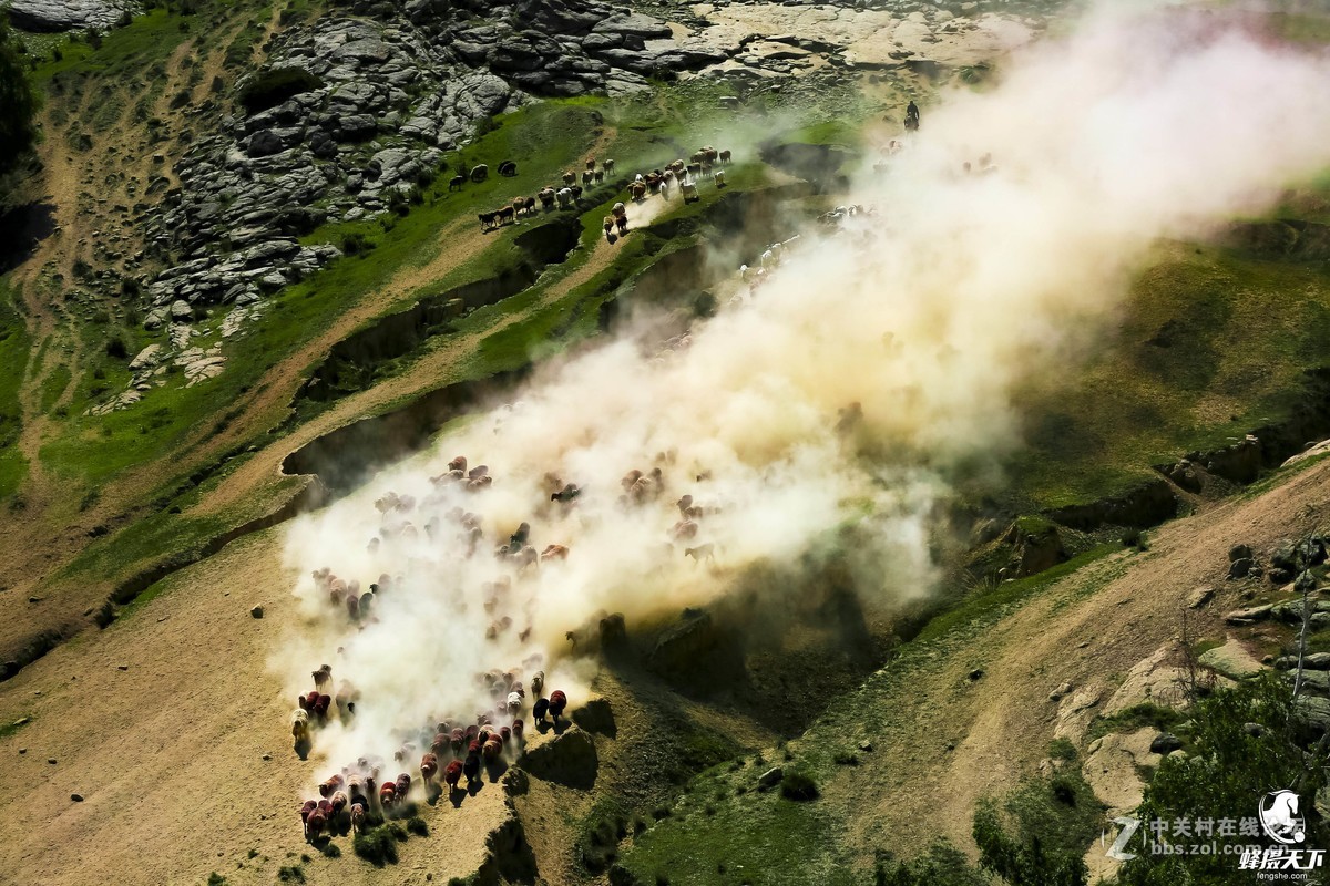 蜂摄天下——新疆转场