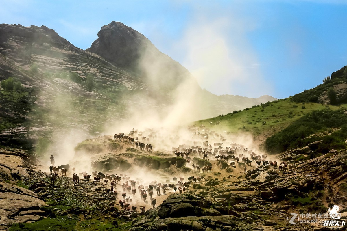 蜂摄天下——新疆转场