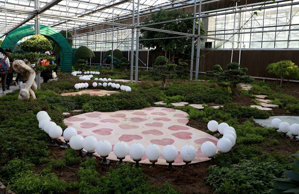 幻城仙境（1）爱丽丝大人国和小人国----拍摄于天津滨海生态农业科技园区