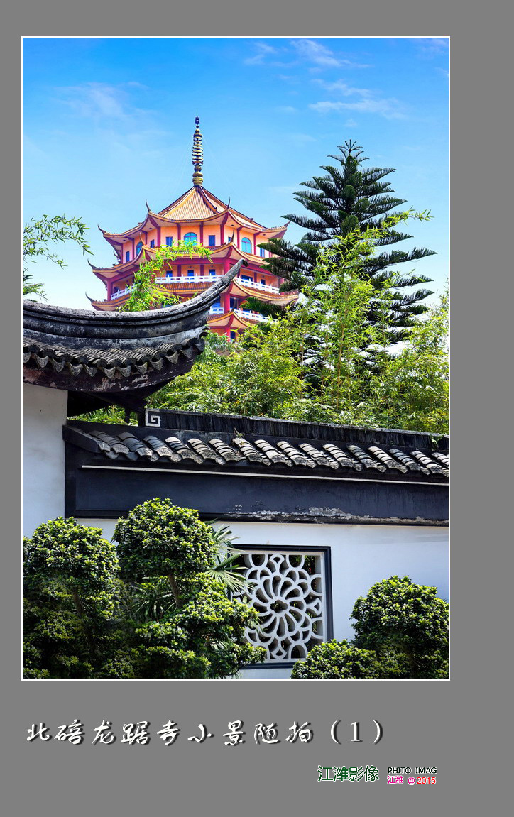 重庆北碚龙踞寺景区小景随拍之一——7P