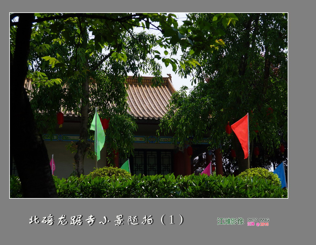 重庆北碚龙踞寺景区小景随拍之一——7P