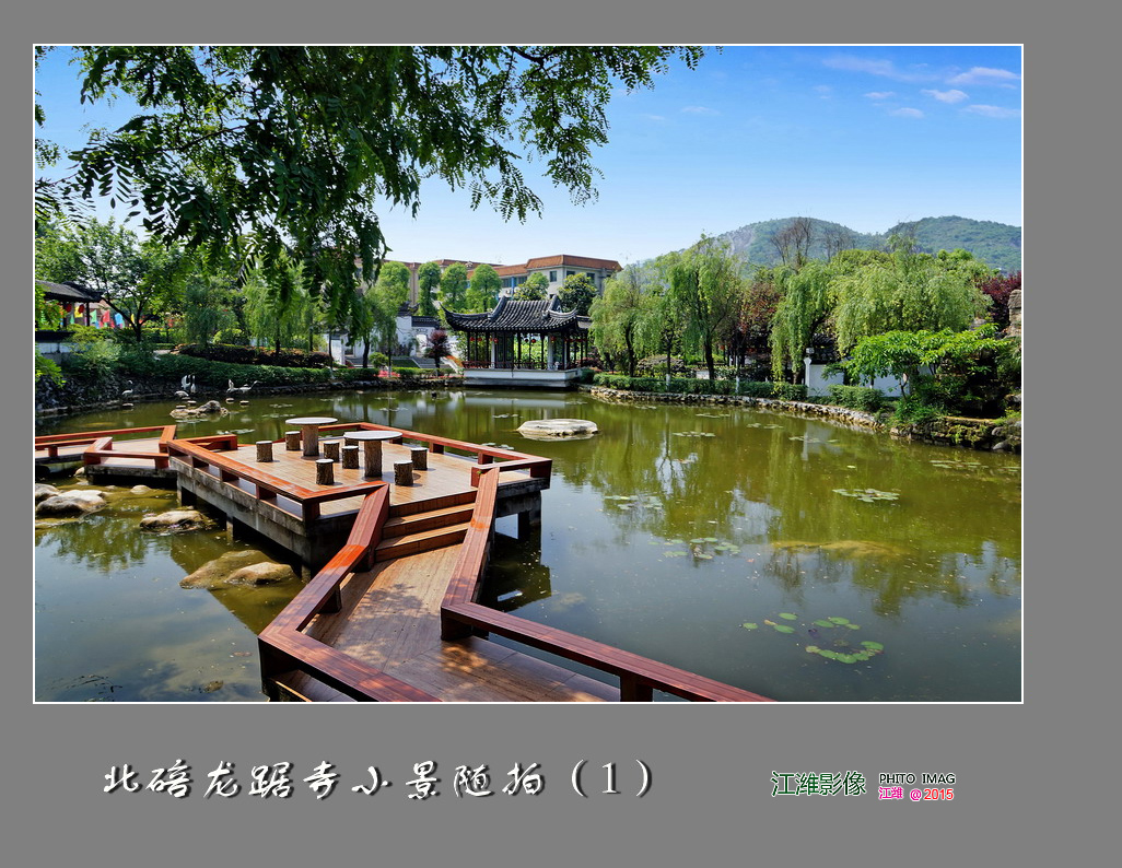 重庆北碚龙踞寺景区小景随拍之一——7P