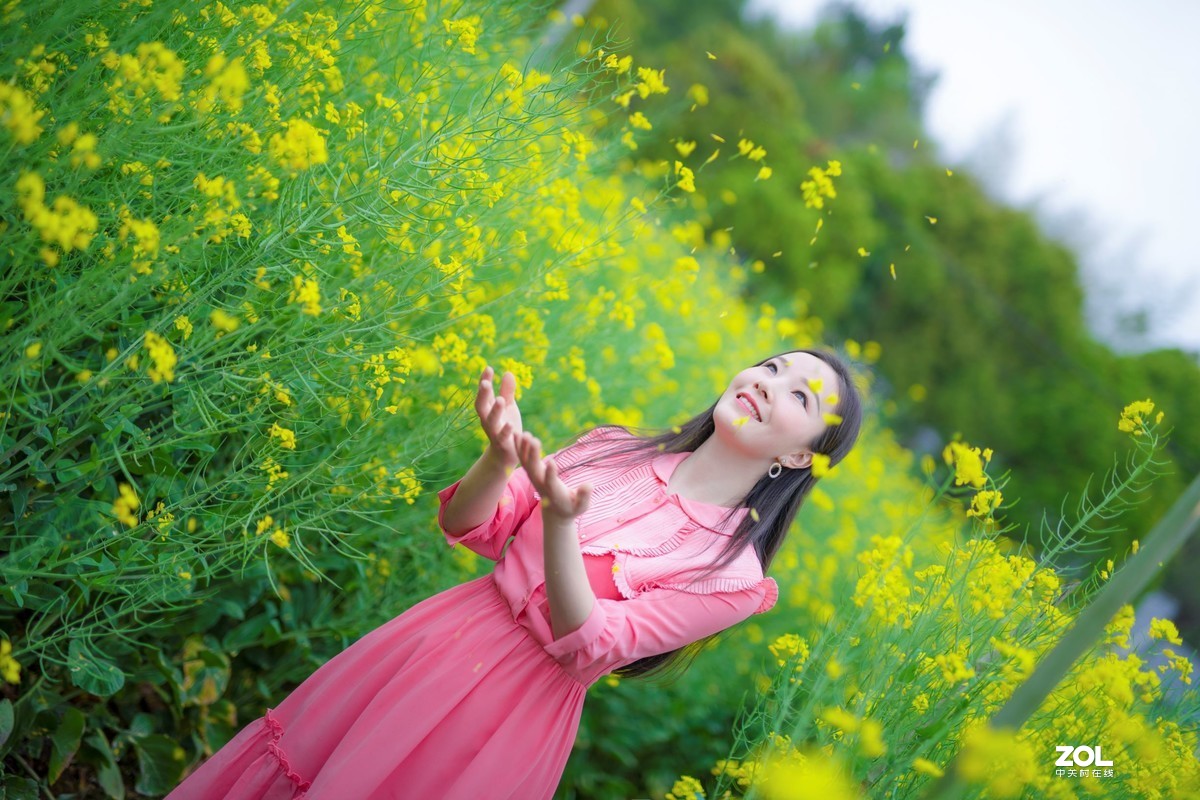 春光明媚的下午