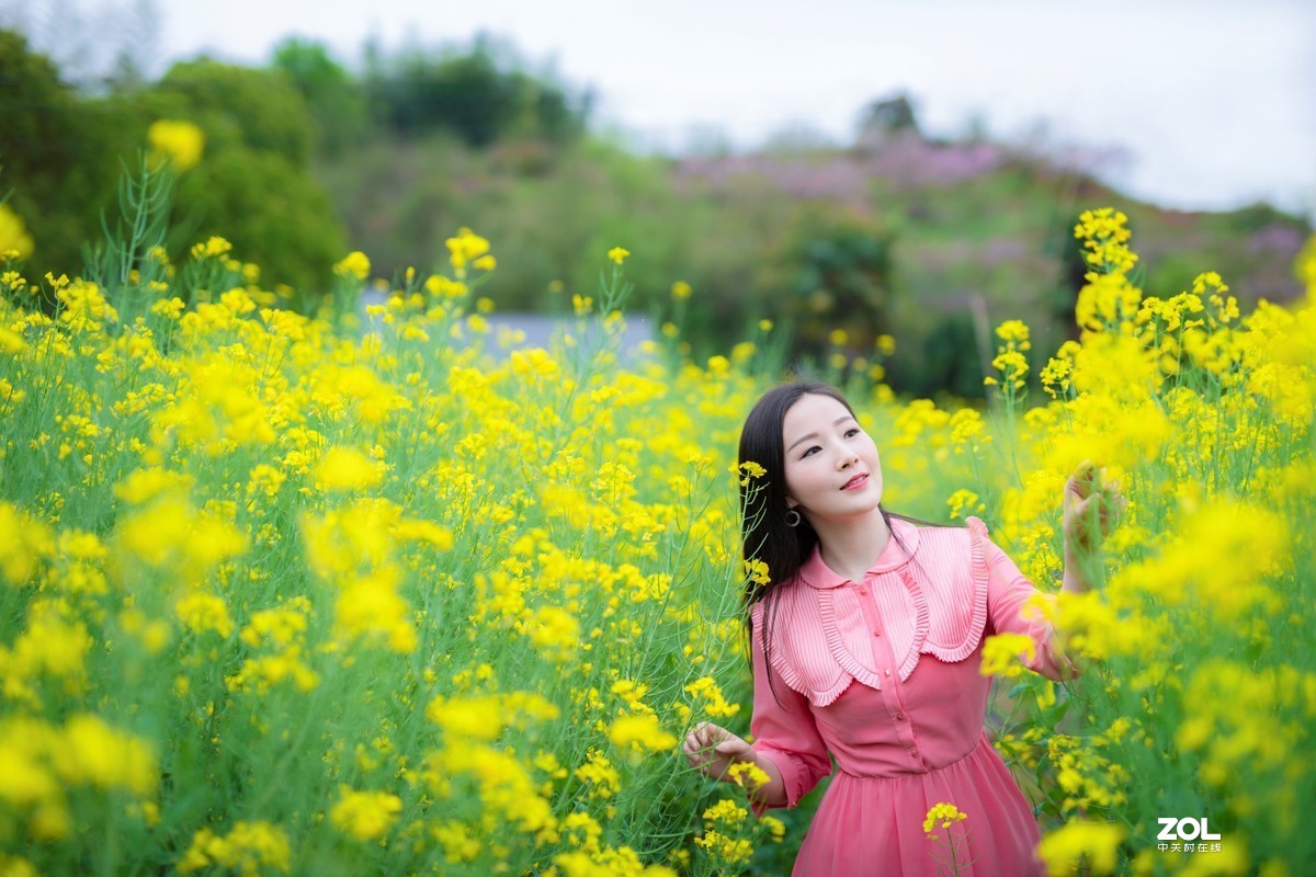 春光明媚的下午