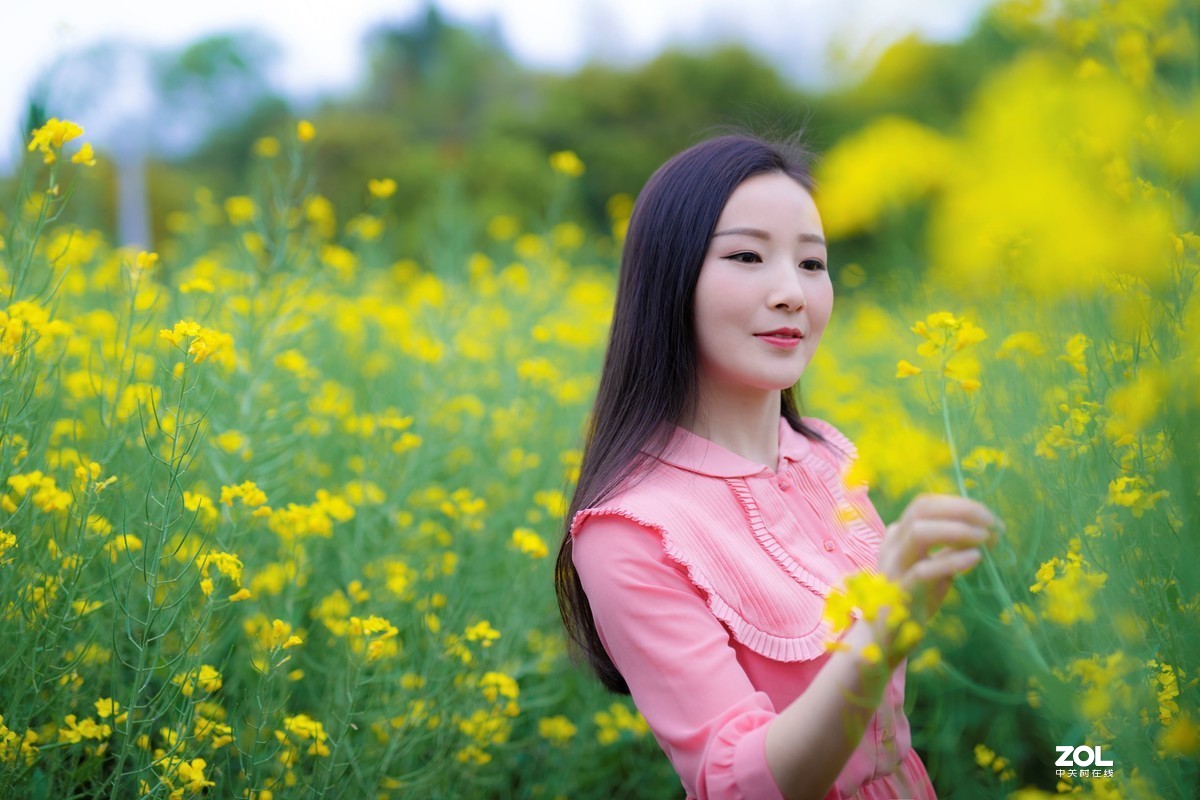 春光明媚的下午