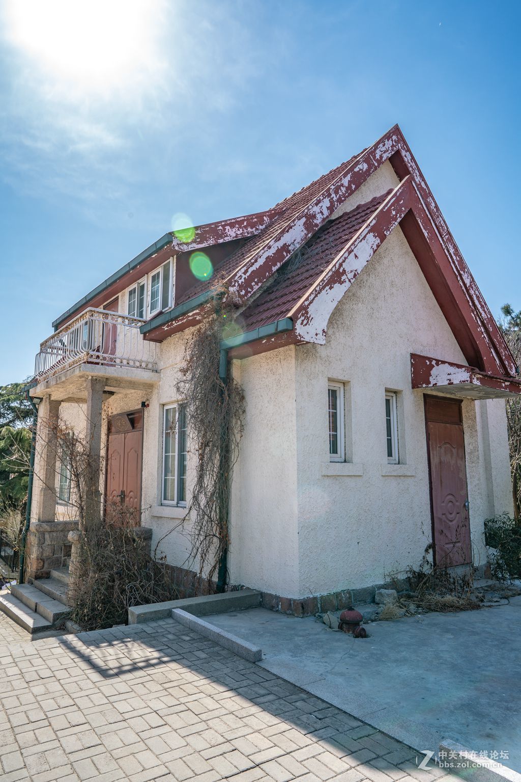 老房子（湛山一路五号）